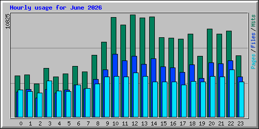 Hourly usage for June 2026