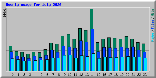 Hourly usage for July 2026