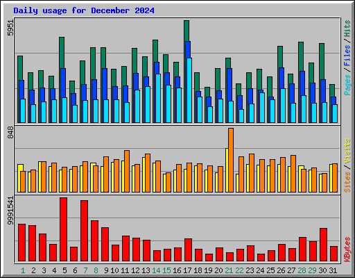 Daily usage for December 2024