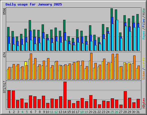 Daily usage for January 2025