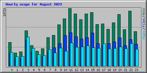 Hourly usage for August 2023