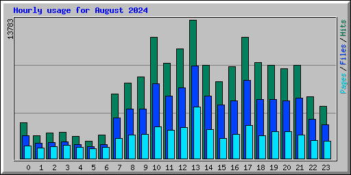 Hourly usage for August 2024