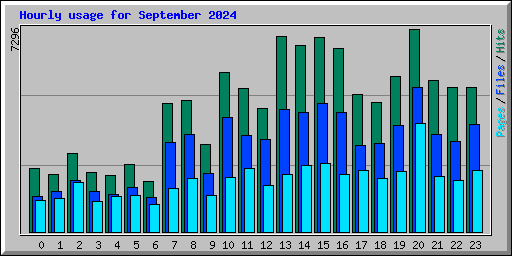 Hourly usage for September 2024
