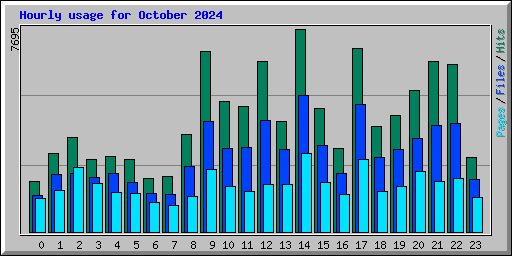 Hourly usage for October 2024