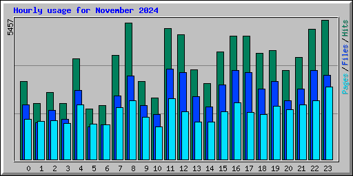 Hourly usage for November 2024