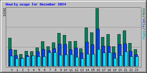 Hourly usage for December 2024