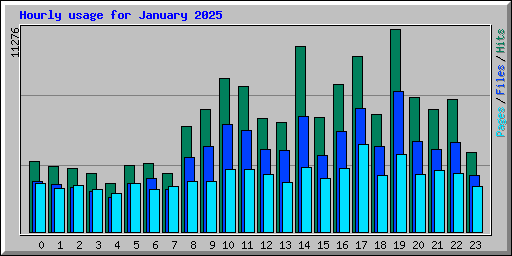 Hourly usage for January 2025