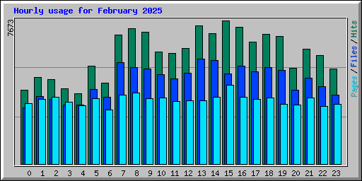 Hourly usage for February 2025