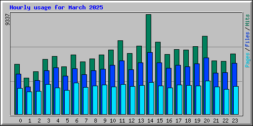 Hourly usage for March 2025