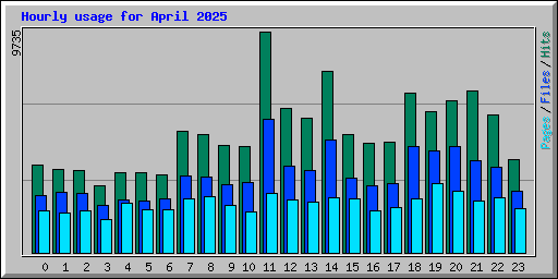 Hourly usage for April 2025