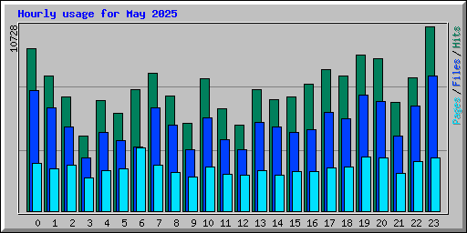 Hourly usage for May 2025