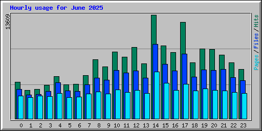 Hourly usage for June 2025