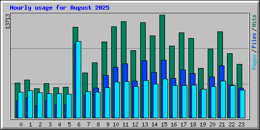 Hourly usage for August 2025