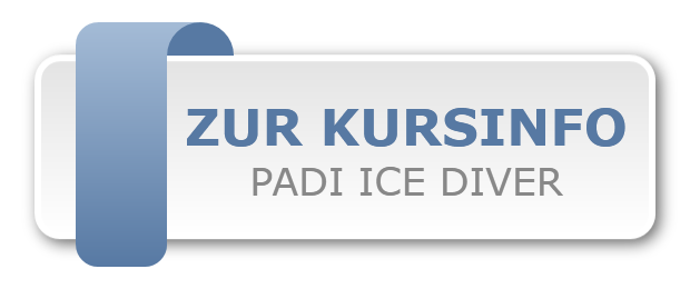 ZUR KURSINFO